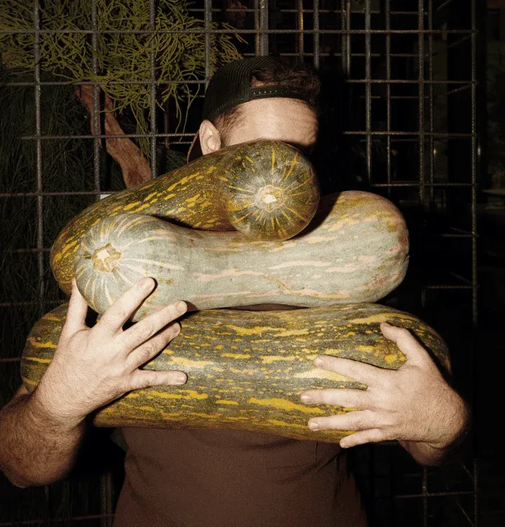 Honest Greens, photo 8